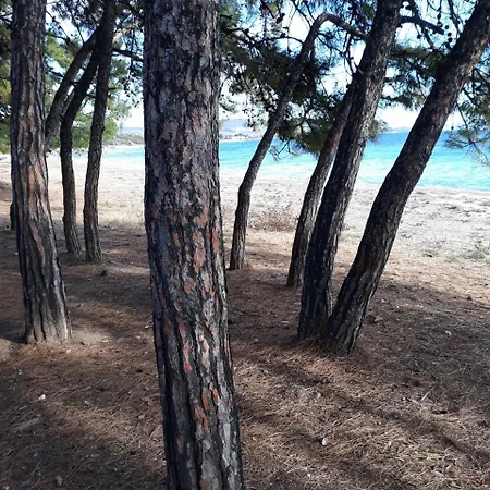 Achilleas Appartement *