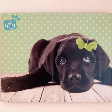 Achilleas Kalyves Polygyrou