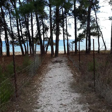 Achilleas Kalyves Polygyrou