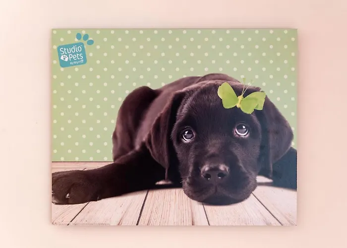 Achilleas Kalyves Polygyrou