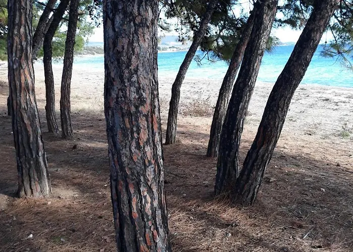 Achilleas Apartamento *